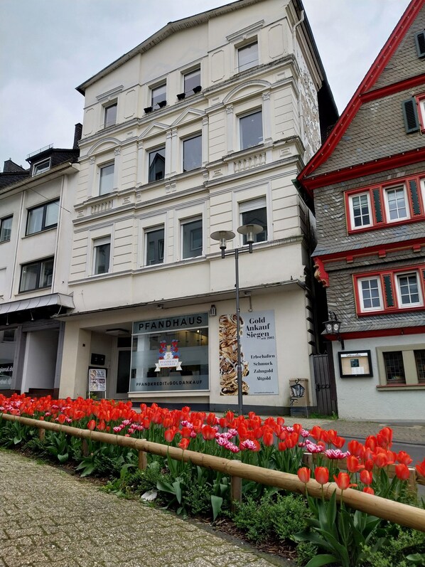 Exteriör