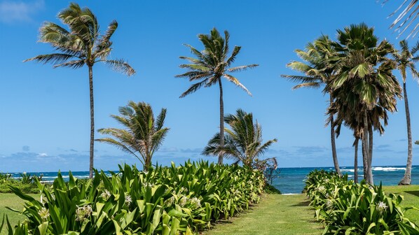 Beach entrance from backyard