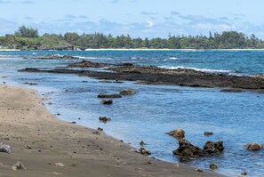 Beach, tide pools