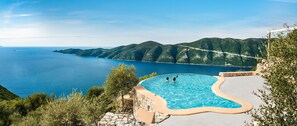 Private infinity pool with jacuzzi!