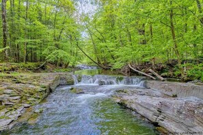 the swimming hole