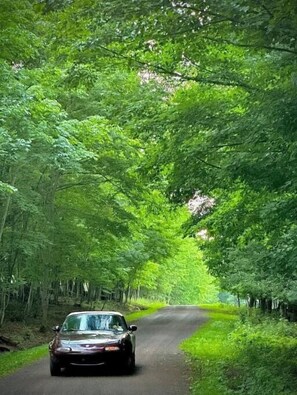 Our driveway is over 2/3 of a mile for peace and serenity