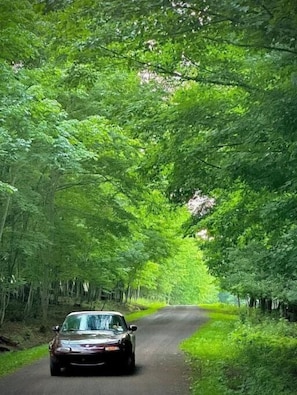 Boendeområde