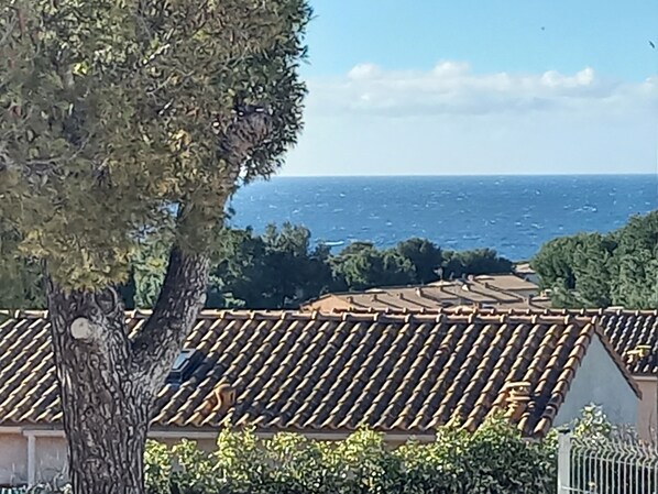 Beach/ocean view