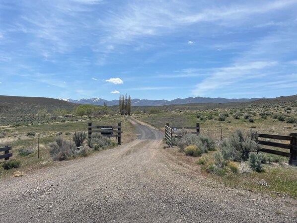 Welcome to Pedro Springs, an oasis in the Alvord and Steens Mountain Wilderness 