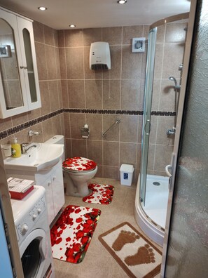 Image 2