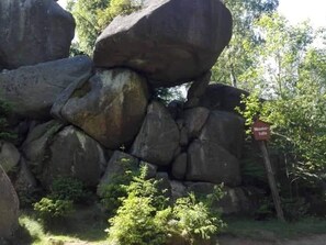 Miscellaneous