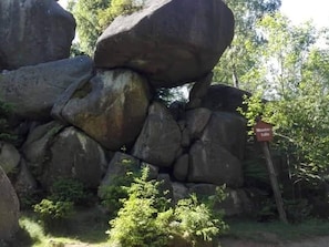 Miscellaneous