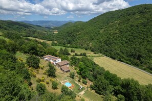 Garden, Outdoor, Pool, Scenic View