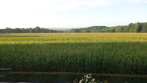 Ferienwohnung Hof Berkhoff, (Haltern am See)-Blick aus dem Fenster (Schlafzimmer)