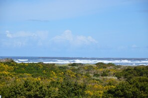 1039 Vacations by the Sea - View of Pacific Ocean from 1039