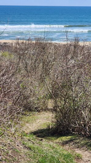 Path to beach