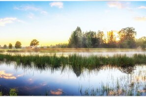 The mist rises at Madigan