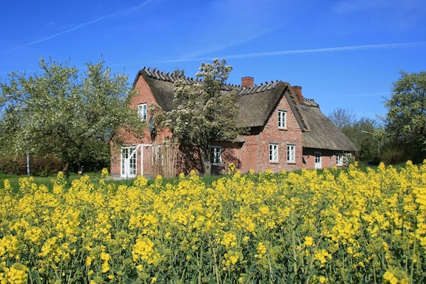 Außenansicht Schusterhaus