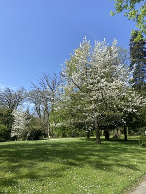 Boendeområde