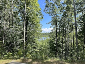 View from back patio overlooking Furnace Lake (no lake access) in the summer