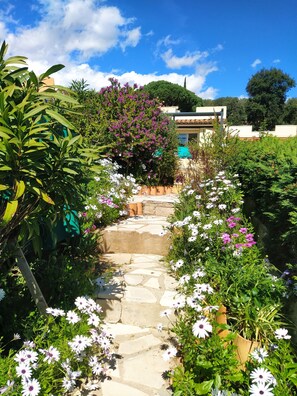 Jardin fleuri et cloturé