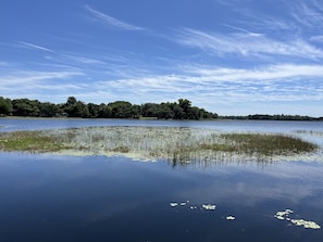 The Tsala Apopka Chain-of-Lakes encompasses 23,300 acres 