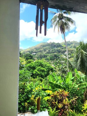 Vue depuis l’hébergement