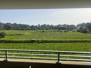 Vue depuis lâhĂ©bergement