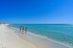 Gorgeous Gulf Coast Beach