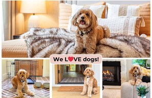 We love welcoming dogs into our home! Your furry friend will feel right at home with our provided dog bed, a crate for small/medium dogs, water and food bowls, and plenty of cozy spots to relax and unwind.