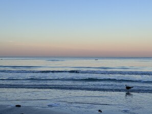 Beach morning