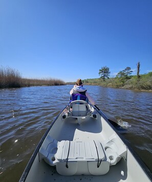 This is the view while canoeing on the canal.