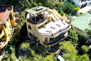 Aerial View1