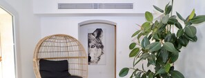 IMG 0608