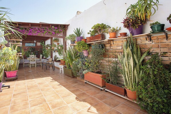 Terraza o patio