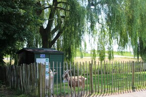 Ausstattung und Service des Ferienparks