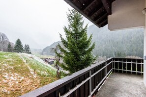 Terrasse / Balcon
