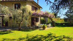 Balcony / Terrace / Patio, Garden, Main