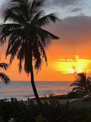 Beach/ocean view