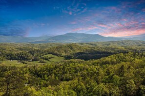 Breathtaking Views from the balcony of the cabin.