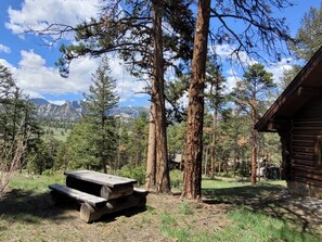 Side yard with picnic table.