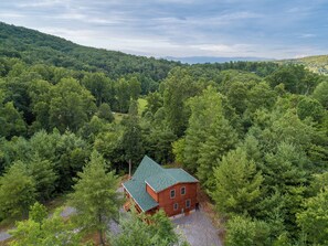 Mountain and Forest Views