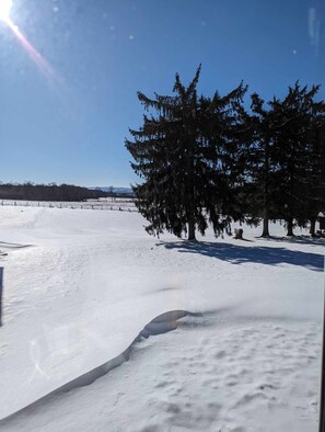 View from property