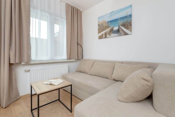 Living room with sofa bed and coffee table.