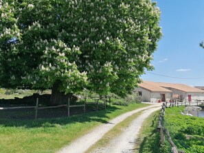 Boendeområde