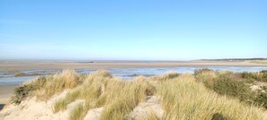 Les dunes (balade -luge -bronzage à l’abri des regards)