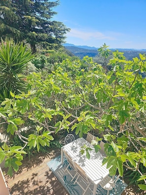 Un figuier généreux vous offre une oasis de calme et de fraîcheur.