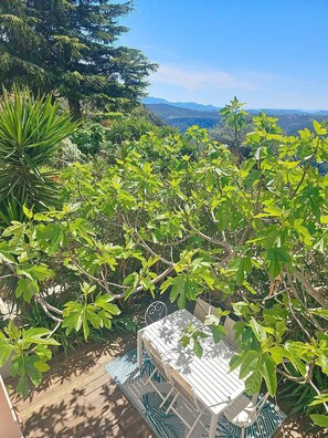 Un figuier généreux vous offre une oasis de calme et de fraîcheur.