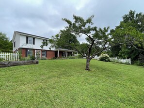 Front yard has small garden with herbs, passion vines and a peach tree. 