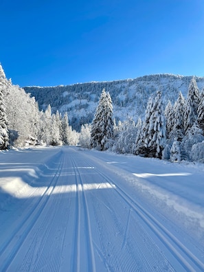 Wintersport/Ski