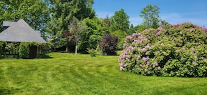 Boendeområde