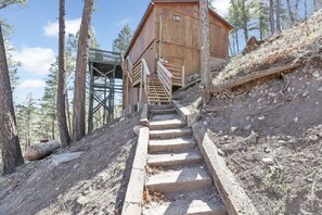 View from Driveway to front door.