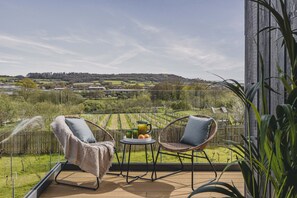 Views over the vineyard