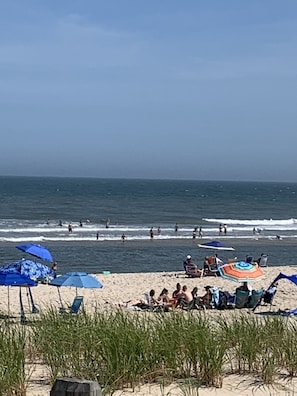 Strand